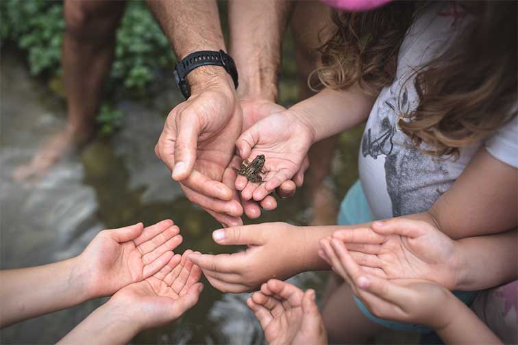 Activité nature du Club des Papas à Confignon